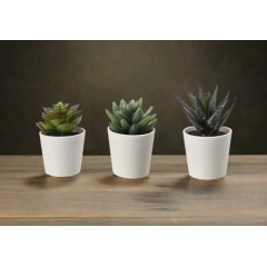 Set 3 flori artificiale, plante decorative, 12 cm, ghiveci alb