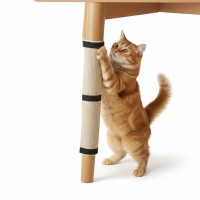 Covor de ascutit ghiare pentru pisici, sistem de prindere de mobila cu arici, 63x25 cm