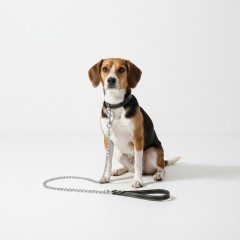 Lesa din lant cromat, pentru caini de talie medie sau mica, maner piele ecologica, lungime 120 cm