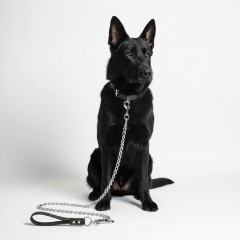 Lesa din lant cromat pentru caini de talie mare, maner negru din piele ecologica, 120 cm x 4 mm Lesa din lant cromat pentru caini de talie mare, maner negru din piele ecologica, 120 cm x 4 mm