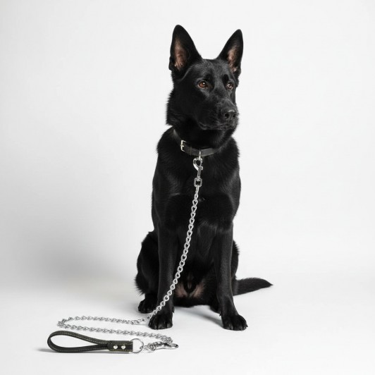 Lesa din lant cromat pentru caini de talie mare, maner negru din piele ecologica, 120 cm x 4 mm