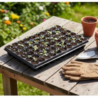 Set 2 buc tava rasaduri, 60 alveole germinatoare, 51x32x5 cm, pentru flori, legume si fructe