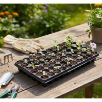 Set 2 buc tava rasaduri, 60 alveole germinatoare, 51x32x5 cm, pentru flori, legume si fructe