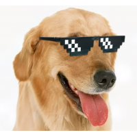 Ochelari haiosi, deghizare petreceri, Thug Life Deal WIth It, pixelati, 6 puncte