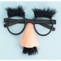 Ochelari deghizare, pentru petreceri, carnavaluri si fotografii distractive