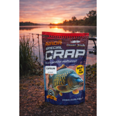 Nada pentru crap BOOM DE FUM Capsuni 1kg Dual Fish Nada Special Crap fumigenă