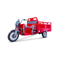 Set 2 Stopuri SPATE stanga si dreapta Tricicleta electrica KUBA GL15000