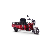 Incarcator Triciclu Electric compatibil KUBA ECOPIKUP