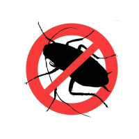Solutie anti gandaci, tip seringa, RoachDoctor