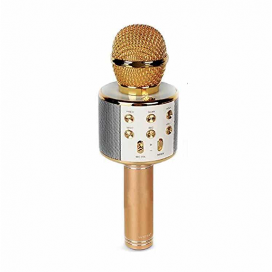 Microfon Karaoke Wireless cu Bluetooth