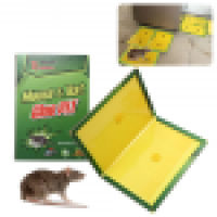 Set 10 capcane lipici, pentru soareci si sobolani