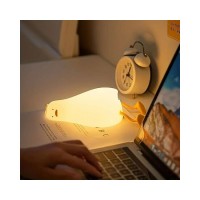 Lampa de noapte ratusca