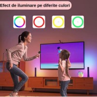 Set 2 Microfoane Karaoke cu boxa portabila K12