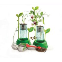 Stiinta si Joaca Gradina Mea – Cultiva Plante Fara Sol