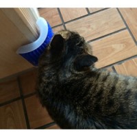 Set 2 x Perie pentru pisici, dispozitiv de îndepărtare a părului, montat pe perete