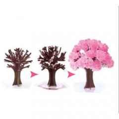 Set 2 x Copac magic Sakura, Bambinice