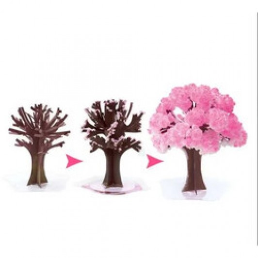 Set 2 x Copac magic Sakura, Bambinice
