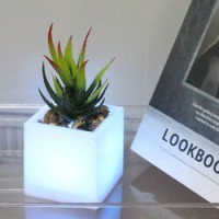 Ghiveci Decorativ cu LED Multicolor  și  Planta 7.5×7.5x19cm