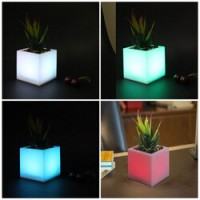 Ghiveci Decorativ cu LED Multicolor  și  Planta 7.5×7.5x19cm