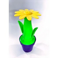 Set doua solnite in forma de floare pentru sare si piper