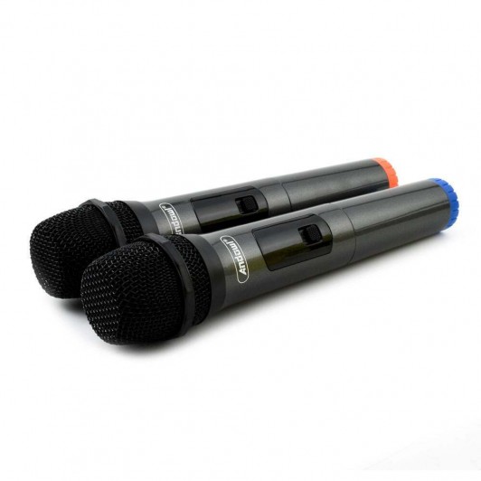 Set 2 microfoane profesionale fara fir, reciver wireless de pana la 20 de metri