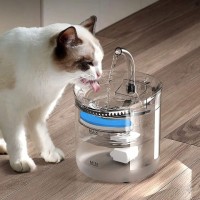 Dispenser de Apa cu Sistem de Filtrare, pentru Pisici si Caini, 1.8 L, Material Transparent Dispenser de Apa cu Sistem de Filtrare, pentru Pisici si Caini, 1.8 L, Material Transparent