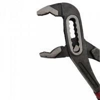 Cleste tip Papagal Profesional, 10