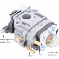 Carburator MOTOCOASA cu gaura mare Craft-tec MX190