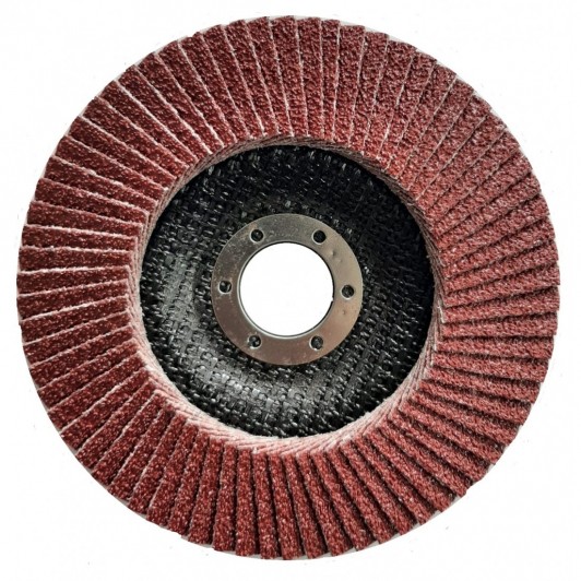 Set 10 Discuri lamelare pentru slefuit metal/lemn, 115 x 22 mm, granulatie 80, Lider, MX618