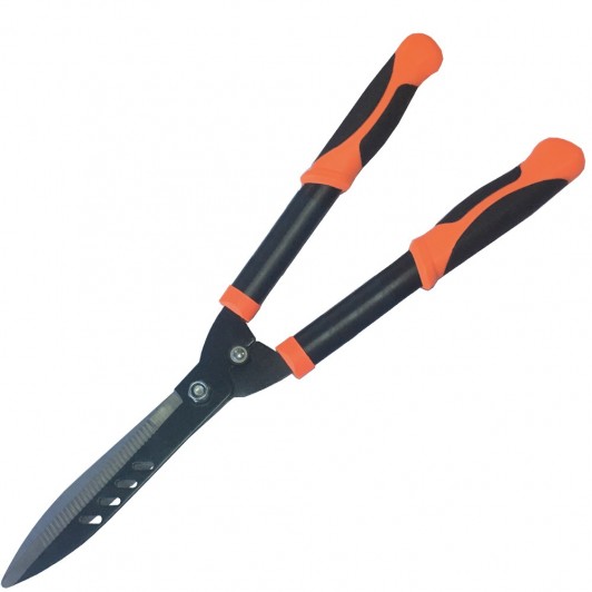 FOARFECA GARD VIU, MANER PROTECTIE - 10 FOARFECA GARD VIU, MANER PROTECTIE - 10