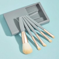 Set 5 pensule de machiaj cu perii moi, cutie depozitare cu oglinda