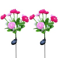 Set 2 x Lampa solara Bujori Roz 60 cm, iluminat ambiental gradina