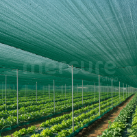 Plasa umbrire 1.5 x 10 m, verde, HDPE, 80% grad umbrire