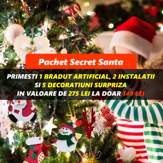 Pachet de Craciun Secret Santa cu Bradut + 2 Instalatii + 5 Decoratiuni surpriza