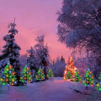 Set 4 x Lampa solara LED de Craciun, brad impodobit 68 cm