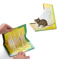 Set 10 x Capcana cu lipici pentru soareci si sobolani