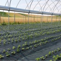 Plasa agrotextil anti-buruieni, dimensiuni: Latime 1 metru x Lungime 100 metri, densitate 100 g/mp