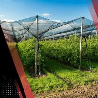 Plasa umbrire solar 2 x 10 m, verde, elastica, cu butoniere, 40 g/mp