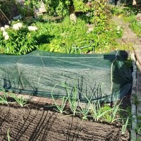 Plasa de umbrire impaturita 1.5 x 20 m. 80 g/mp, cu butoniere, protectie 80% Plasa de umbrire impaturita 1.5 x 20 m. 80 g/mp, cu butoniere, protectie 80%