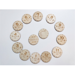 Set discuri milestone bebeluși din lemn – 1-12 luni + „Hello World” | Ideal pentru poze memorabile
