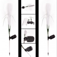 Set 2 Lampi Solare de Gradina Tip Pampas, Lumina Calda, Rezistente la Apa, Inaltime 75cm Set 2 Lampi Solare de Gradina Tip Pampas, Lumina Calda, Rezistente la Apa, Inaltime 75cm