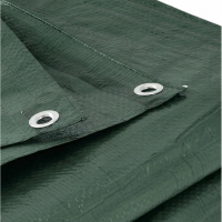Prelata impermeabila 3 x 4 m, 120 g/mp si inele pe margini, verde